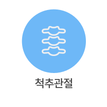 척추관절
